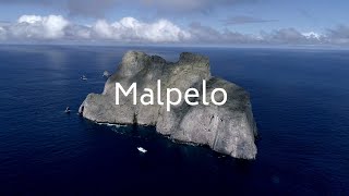 MALPELO 4K [upl. by Julius]