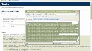 Web Services Testing  Part 2  by wwwopenmentornet [upl. by Louise341]