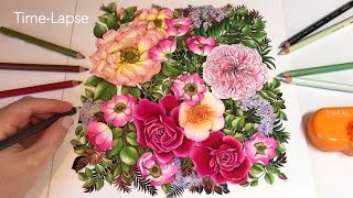 TimeLapse quotRose Gardenquot  Floribunda Coloring Book [upl. by Xonel]