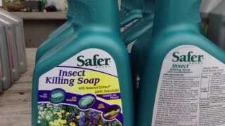 Safer Insecticidal Soap in 32oz  Quick Tips and How To with Chad Harris [upl. by Anidem]