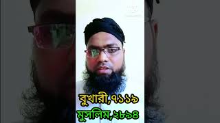 Furat Nadi  Furat nodir bortoman obostha  ফুরাত নদি [upl. by Artapoelc]