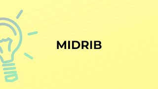 What is the meaning of the word MIDRIB [upl. by Sander]