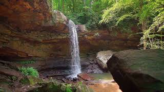 Música Relaxante para Alívio do Estresse Calma Estudo  Sons da Natureza [upl. by Lyford844]