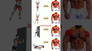 Sixpack or ABS workout And chest or back workout and Triceps or Biseps muscles workout 🔥viral [upl. by Meri676]