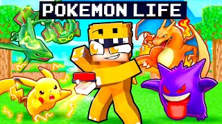 Having a POKEMON TRAINER LIFE in Minecraft [upl. by Nwahc736]