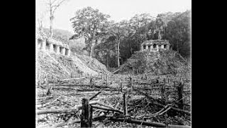 PALENQUE Archaeological Site Pre ColombianHispanic Mayan City Ceremonial Site Chiapas Mexico [upl. by Euqinaj997]