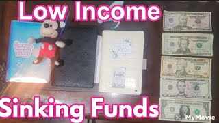 Low Income Budget Cash Stuffing Sinking Funds Cash Envelopes lowincomebudget cashenvelopes budget [upl. by Brit977]