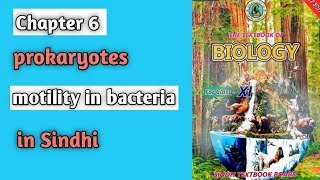 motility in bacteria class 11 biology Sindh board chapter 6 prokaryotes [upl. by Berardo]