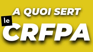 La vraie raison pour laquelle je passe le CRFPA et cest pas forcément pour devenir avocat [upl. by Cherye585]