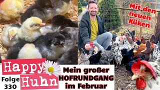 Von Kükenaufzucht bis Hühnerauslauf  Mein Hofrundgang im Februar mit neuen Küken HAPPY HUHN E330 [upl. by Nowujalo]