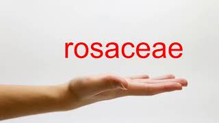 How to Pronounce rosaceae  American English [upl. by Enomis]