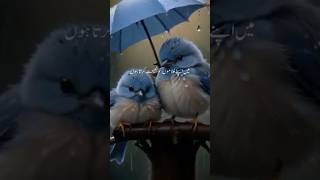 Nabi pak saw ka farmaanyoutubevideo youtubeshorts bayanstatus bayan [upl. by Debby740]