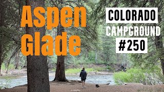 Aspen Glade Campground  Our 250th Colorado Campground Tour  Rio Grande National Forest [upl. by Stinson]