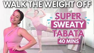 Weight loss Tabata Workout Challenge  No Equipment Warm up amp Cool Down Included [upl. by Renaldo]