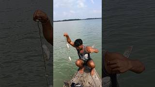 Unique fishing in Sundarban river sundarbanforest fish hookfishing river shorts [upl. by Kacerek]