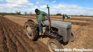 1955 Ferguson TED20 21 LItre 4Cyl Petrol TVO Tractor 26 HP [upl. by Atinrahc]