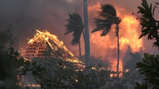 Waldbrände auf hawaiianischer Insel Maui fordern mehrere Todesopfer [upl. by Jehu]