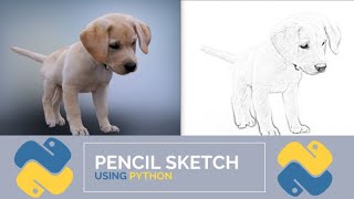 Image To Pencil Sketch In 12 Lines Of Code Using Python [upl. by Ajram310]