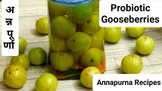 probioticamla how to preserve Amla salted gooseberry annapurnarecipes by Madhuri Patilपिवळेआवळे [upl. by Eibbob]