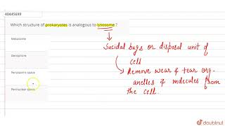 Which structure of prokaryotes is analogous to lysosome [upl. by Gunther]