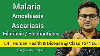 L4 Protozoan and Helminth Diseases  Malaria  Amoebiasis  Ascariasis  Filariasis  Class 12NEET [upl. by Autry13]