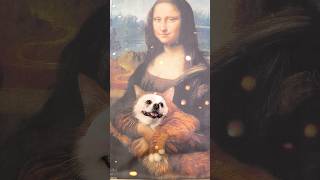 Monalisa hugs Niconico smartnico cute funny pets [upl. by Gage]