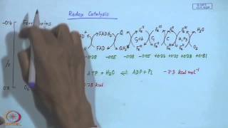 Mod06 Lec 06 Electron Transport Proteins  II [upl. by Crim]