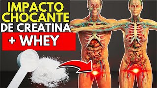 Tomei Creatina com Whey Protein e ISSO aconteceu com o meu corpo [upl. by Zannini740]