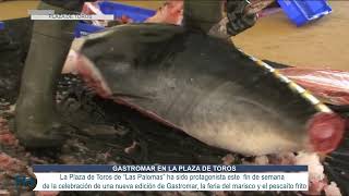 Una nueva edición de Gastromar la feria del marisco y el pescaíto frito [upl. by Adaminah558]