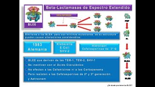 recomendaciones para el manejo de Microorganismos blee [upl. by Hungarian]