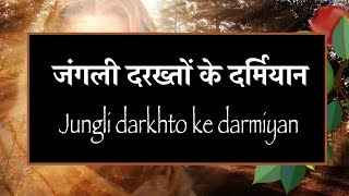 जंगली दरख्तों के दर्मियान Jungli darkhto ke darmiyan [upl. by Nitaj]