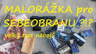 Sebeobrana s malorážkou Velký test malorážkových nábojů 22 LR Sebeobrana  Brannost Hodonín 2024 [upl. by Guttery]