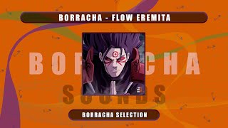 BORRACHA  FLOW EREMITA [upl. by Ulphiah]