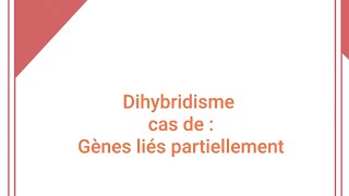 Exercice avec corrigé  Dihybridisme [upl. by Eceinej]