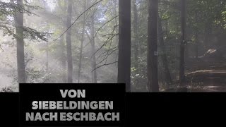 Herbstwanderung von Siebeldingen nach Eschbach [upl. by Nylegna]