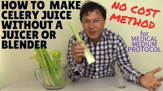 How to Best Make Celery Juice without a Juicer or Blender [upl. by Aedrahs]