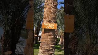 Menaville Resort Safaga Hotel Abu Soma [upl. by Therine]