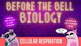 Cellular Respiration Before the Bell Biology [upl. by Brianna]