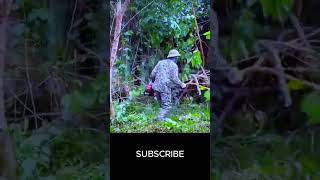 airsoft bushcraftfamily bushcraft abandoned logcabin outdoorskills ww2 survivalskills [upl. by Akeryt959]