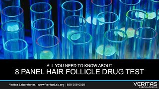 8 Panel Hair Follicle Drug Test All You Need to Know About FAQ [upl. by Lamar]