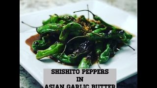 Shishito Pepper in Asian Garlic Sauce [upl. by Aihsercal487]