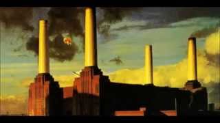 Animals  Pink Floyd 1977 Dogs Pigs and Sheep [upl. by Eissirc159]