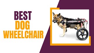 10 Best Dog Wheelchairs in 2023  TOP 10 Review Zone [upl. by Eatnom]