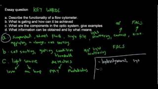 lecture 27 Flow cytometry QampA [upl. by Jeaz899]