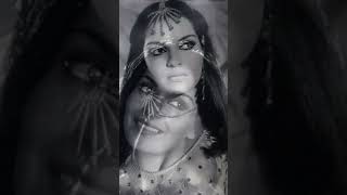 Evergreen Zeenat Aman bollywood oldsong trending viral shorts [upl. by Nagaet]