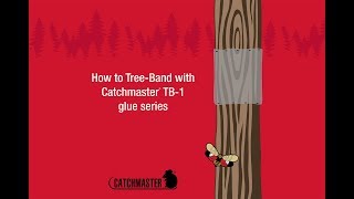 How to TreeBand with Catchmaster® TB1 glue series [upl. by Nerrag106]