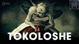 Blame the Tokoloshe South Africa’s Most Notorious Goblin [upl. by Srini537]