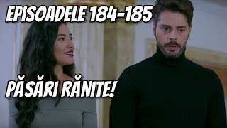 Levent ALEGE SĂ SE CĂSĂTOREASCĂ cu Melis Meryem este DEVASTATĂ O LOVEȘTE Păsări rănite ep 184185 [upl. by Kipper783]