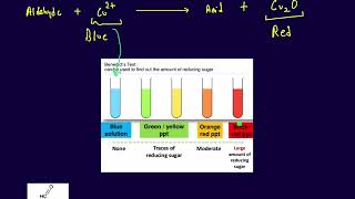 Benedict Solution Test [upl. by Murial118]