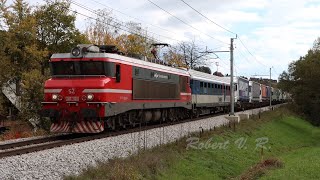 Trains through Šentilj 1 [upl. by Drewett562]